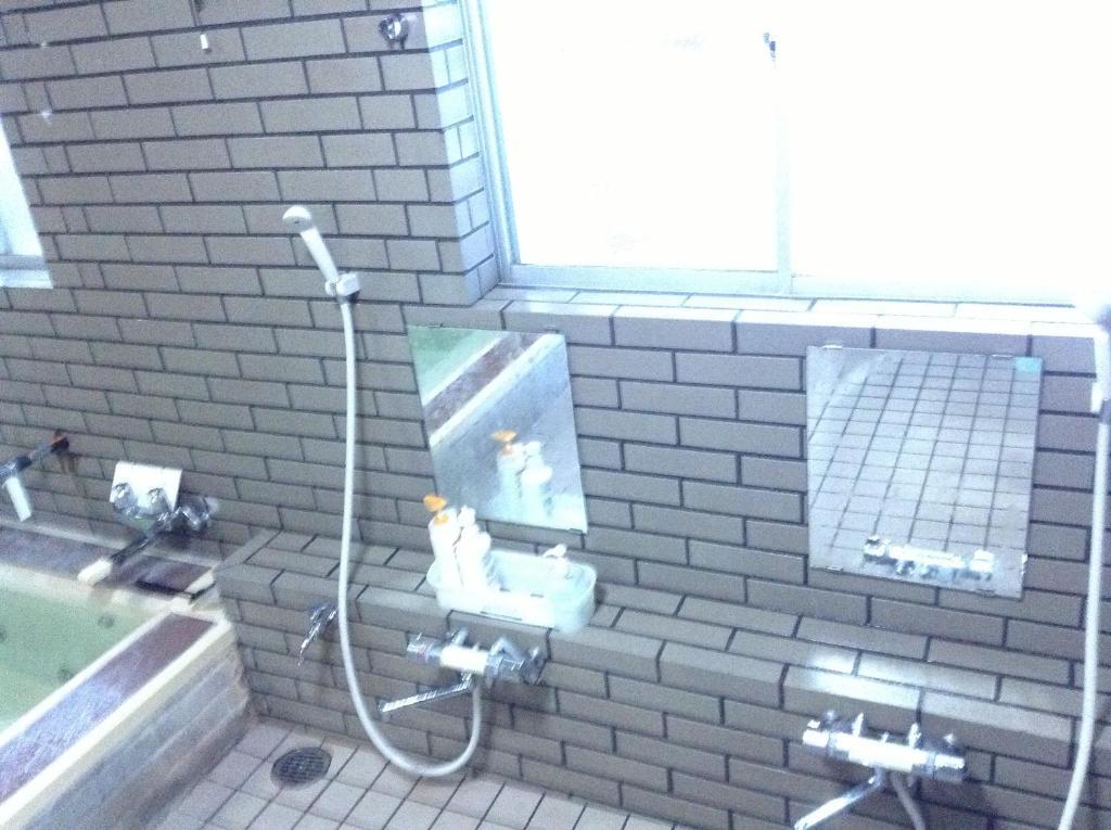 Araya Ryokan Hakuba Exteriör bild